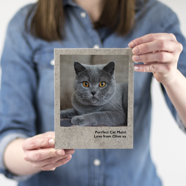 Personalised Pet Photo Print on Concrete